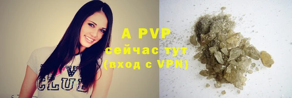 apvp Балахна