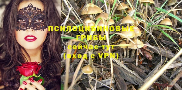 соль курить ск Покачи